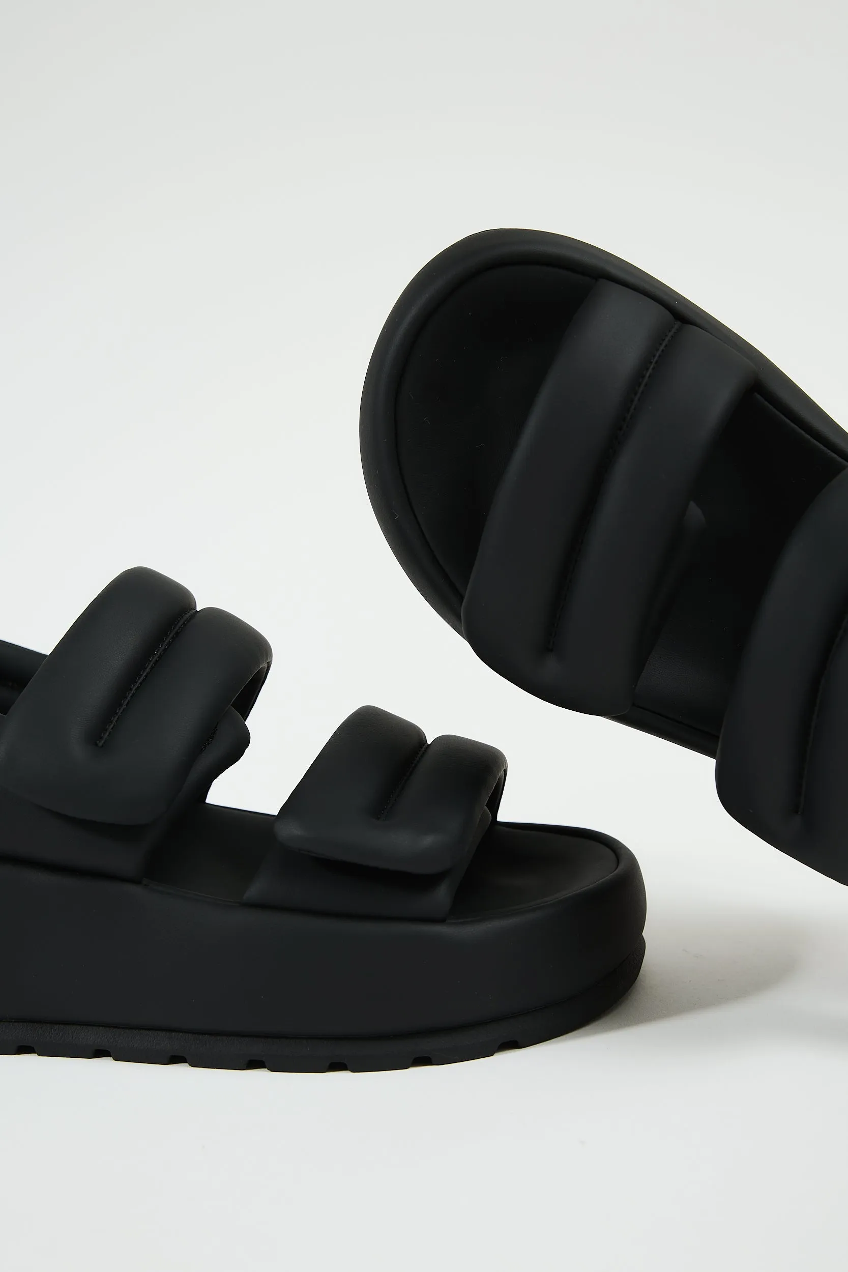 Niceole Black