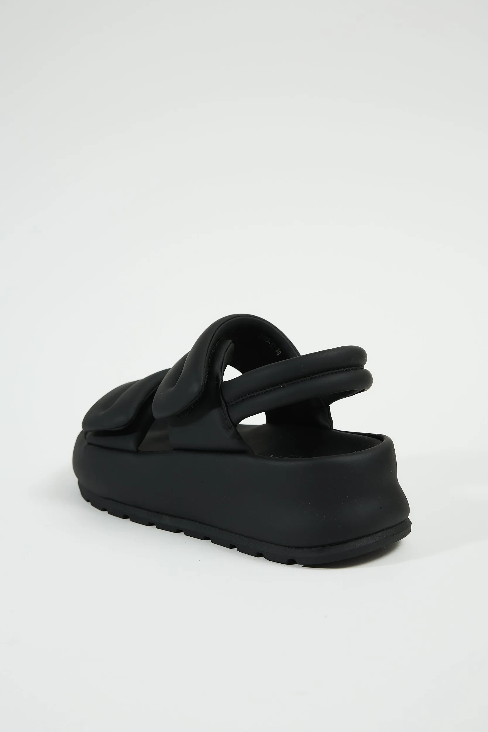 Niceole Black