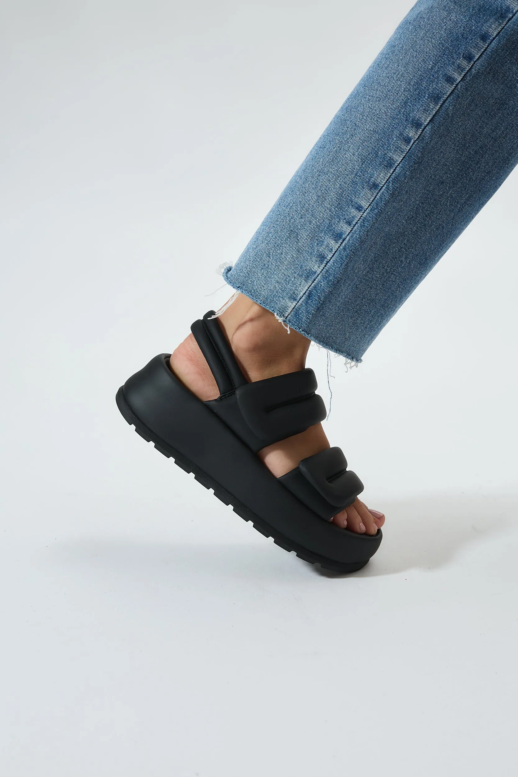 Niceole Black