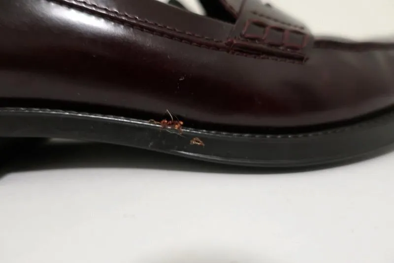 Tod's Penny Loafers Burgundy Glossy Leather Size 37.5 Slip-On Flats